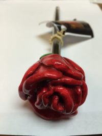 GUNS N ROSES SHOOTER ROD