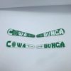 TMNT "Cowa Bunga" Flipper Toppers