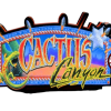 CACTUS CANYON LOGO PIN-SIGN