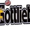 GOTTLIEB LOGO PIN-SIGN X-LARGE