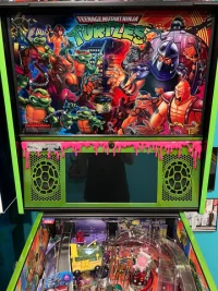 PINK OOZE SPEAKER PANEL COVER-TMNT