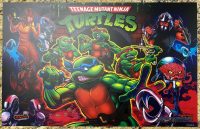TEENAGE MUTANT NINJA TURTLES PRO TRANSLITE