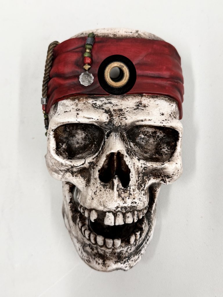 PIRATES OF THE CARIBBEAN CAPTAIN SKELETON SHOOTER HOUSING