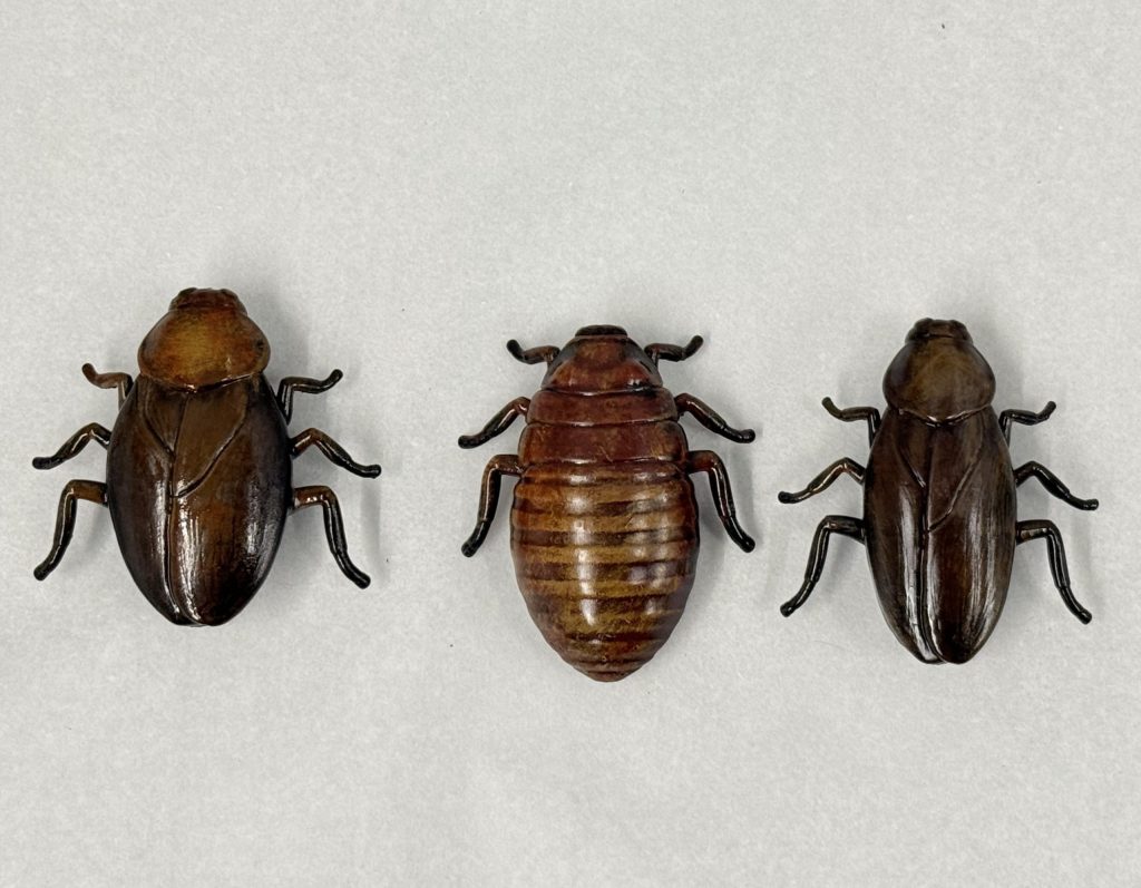 COCKROACH 3PC SET